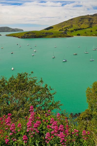 Blaues Wasser in einer Bucht in Neuseeland von Denis Feiner