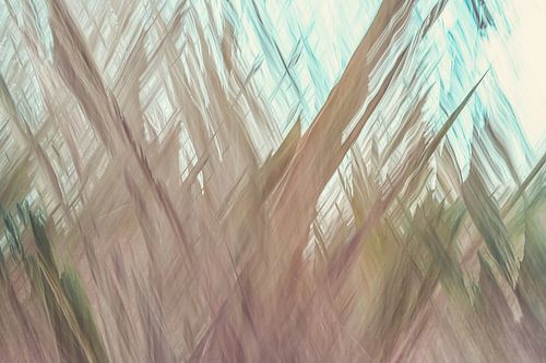 arboretum part 21