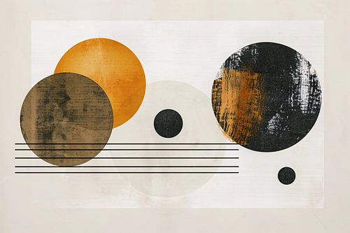Overlappende Cirkels en Strakke Lijnen Kunstwerk