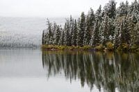 Winter feeling