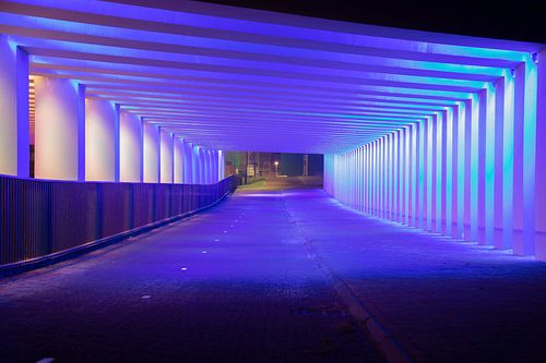 Tunnel