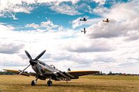 Spitfire
