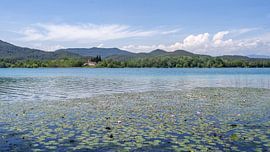 Seerosen und die Kirche von Porqueres