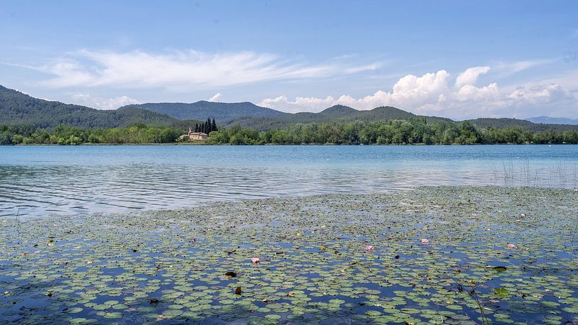 Water lilies and church of Porqueres by Paula Ketz
