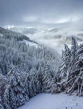 Uitzicht vanaf de Klausberg in het besneeuwde Ahrntal, Zuid-Tirol van Christian Müringer