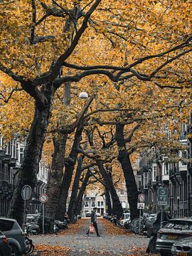 Lomanstraat im Herbst - Launisch #4 von Roger Janssen