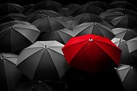 One red umbrella among many black umbrellas
