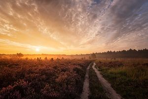 La folie des nuages sur Quirien Marijs