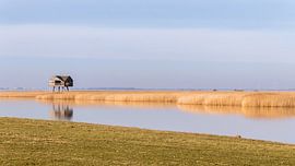 New Statenzijl by Marga Vroom