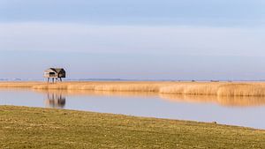 Neuer Statenzijl