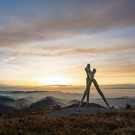 ...as the day goes by... by Thomas Heins