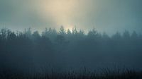 Nebliger Wald von Johan Rosema Fotografie Miniaturansicht