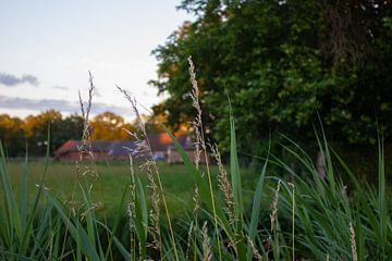 Zonsondergang in de achterhoek van Evie Lammers