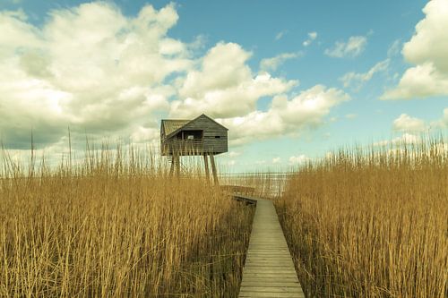 L'armoire des sourciers