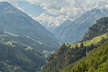De Zwitserse Alpen van Lisa Bouwman