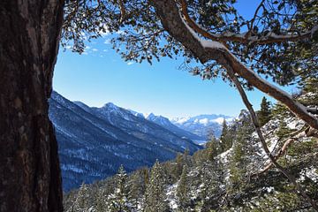 Montgenèvre, France by Jarne Buttiens