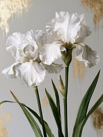 Élégantes fleurs d'iris blanches sur IamHomeStudio