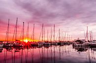 De jachthaven van Juelsminde in het ochtendlicht by Tony Buijse thumbnail