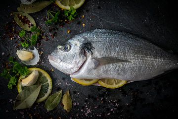 Fisch von Caroline de Bruijn