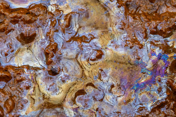 Sickerwasser; bakterieller Film; Biofilm bakterieller Film;