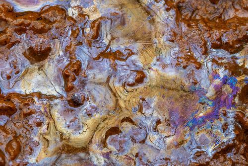Een mini landschap van kwelwater; bacteriënfilm; biofilmbacteriënfilm;