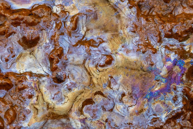 Sickerwasser; bakterieller Film; Biofilm bakterieller Film; von Karin Broekhuijsen