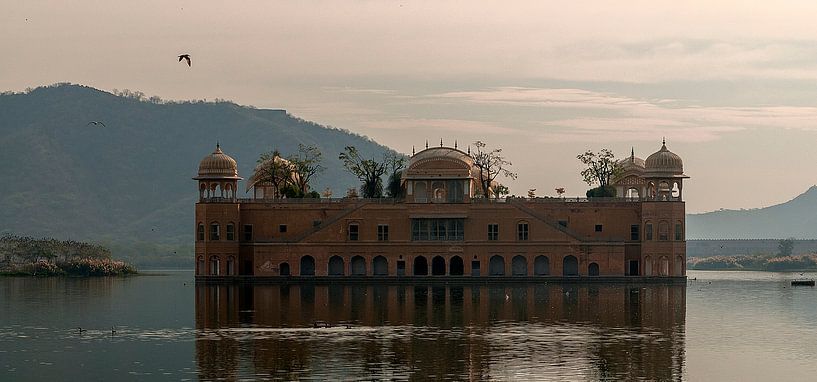 Jaipur: Jal Mahal Palace by Maarten Verhees