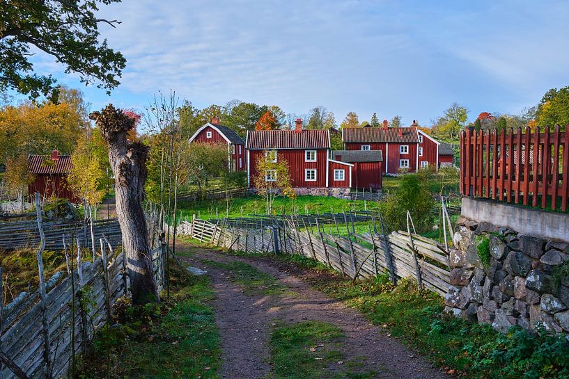 Herbst in Schweden von Geertjan Plooijer