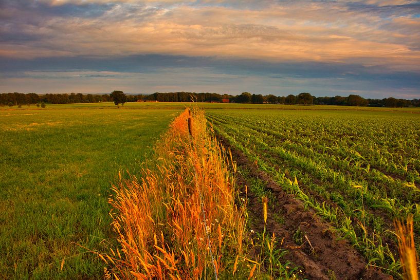 Symetrics by peterheinspictures