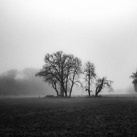 Nebliger Wald von Pierre Verhoeven