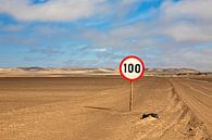 Tempo 100 in der Wüste in Namibia von WeltReisender Magazin Miniaturansicht
