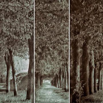 triptique de l'avenue des arbres van Yvonne Blokland