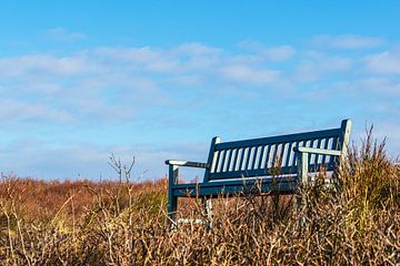 A bench on the coast of the Baltic Sea on Fischland-Darß by Rico Ködder