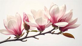 Magnolia: Pure Genesis 2/3 by Martin Mol