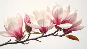 Magnolia: Pure Genesis 2/3