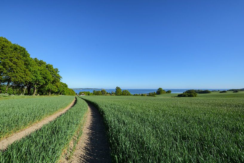 Groß Stresow Nähe Putbus, Rügen von GH Foto & Artdesign