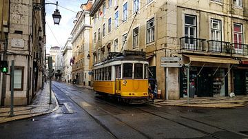 The yellow mascot of Lisbon