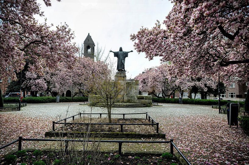 Blüte von Bas Quaedvlieg