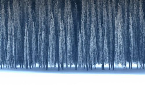 Winterbos - Abstract sneeuwlandschap