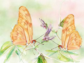 Exotic butterflies - Dryas julia by PhotoArt Claudia Kleemann