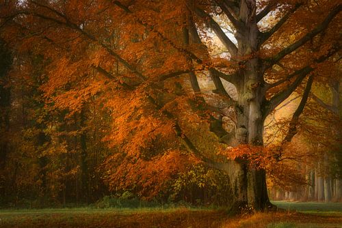 Impressions de rouge