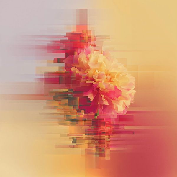 Fréquence florale par Olaf Kramer