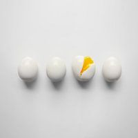 4 Eggs, 1 Cracked