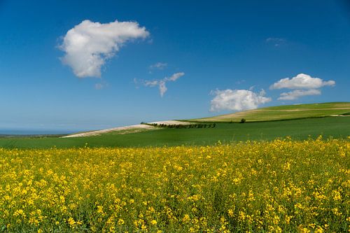 Teletubby's Landschaft....