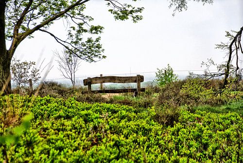 Bench with view