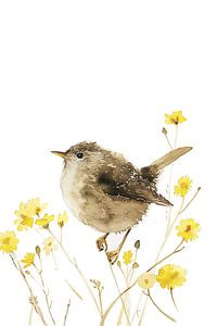 Aquarell Zaunkönig