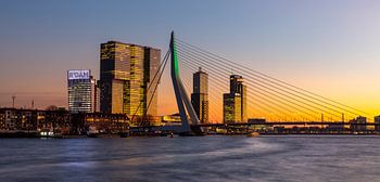Erasmusbrug bij avond