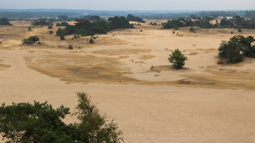 The Dutch desert by Richard de Ruijter