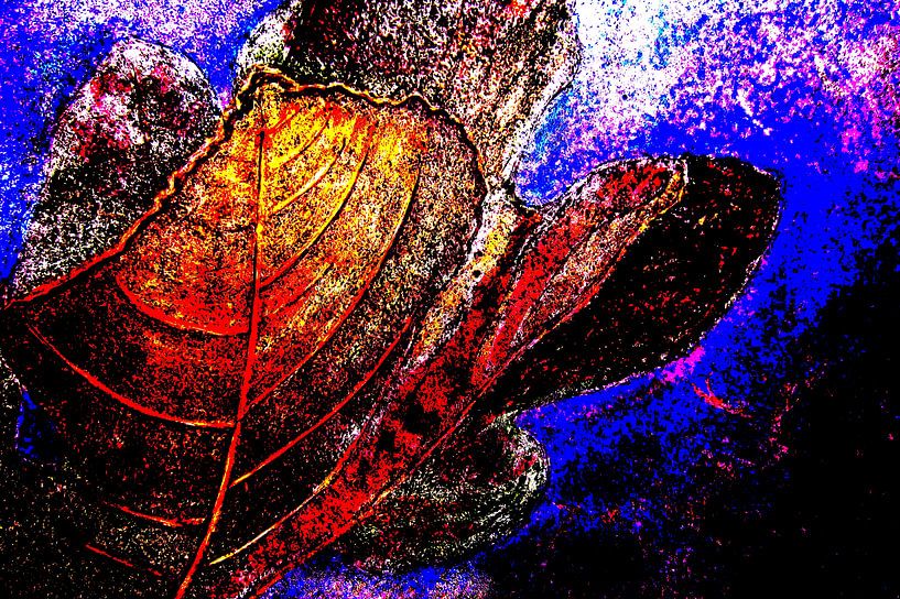Fig leaves von ruud harberts