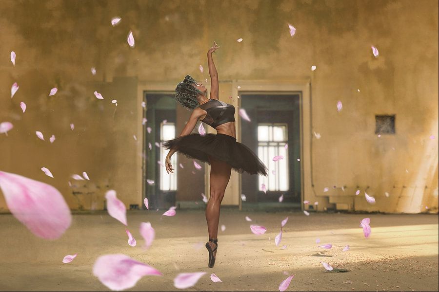 Dance with Roses